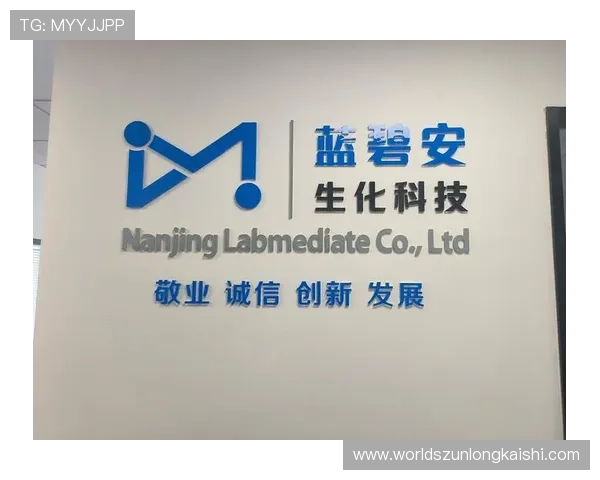 尊龙凯时集团客户服务体系建设提供全天候专业支持与快速响应